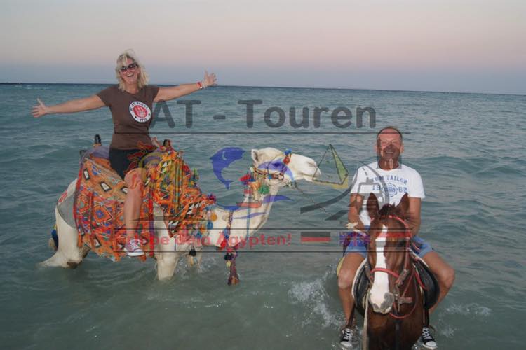 Reiten in Hurghada