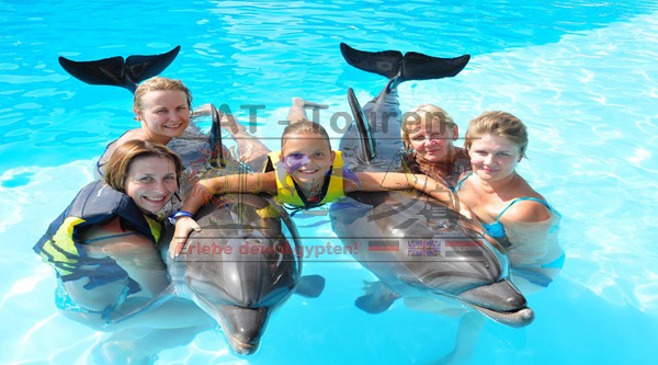 Dolphin_Show_World_Hurghada_4_at-touren.de